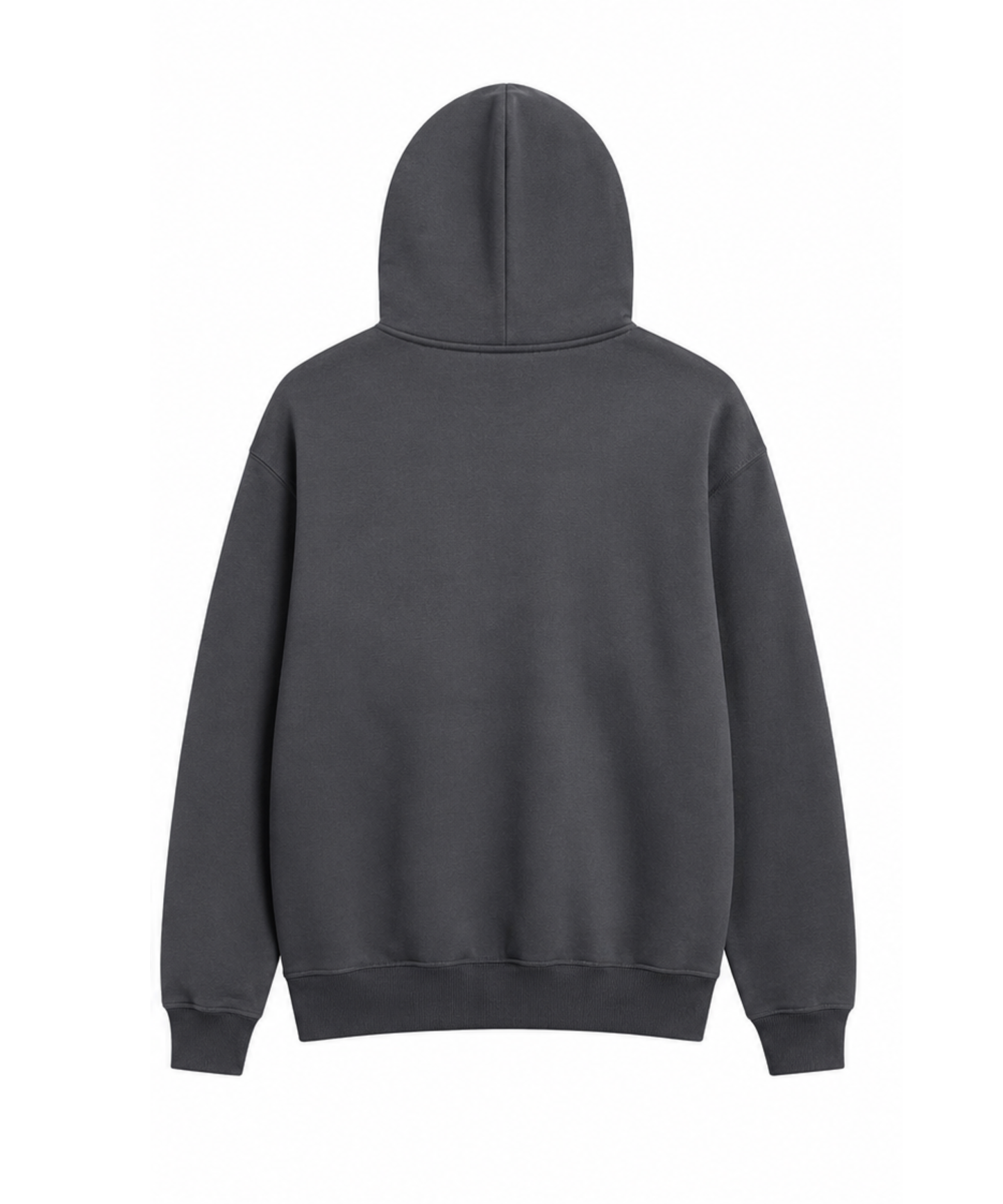 AIW Foundation Crest Pullover Hoodie