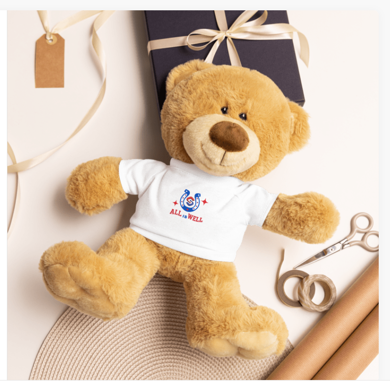 All is Well Teddy bear with a t-shirt