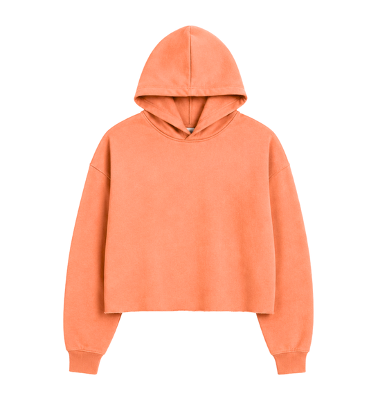 AIW Signature Crest Cropped Hoodie